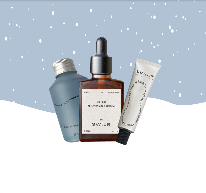 Holiday Gift Guide 2025